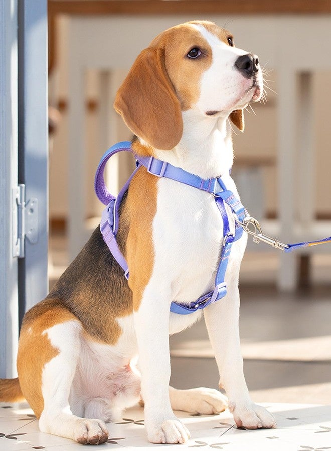 DF Freedom No Pull Martingale Dog Harness and Leash Set, Front Clip Adjustable Harness with Reflective & Padded Handle, Easy Walking & Training, Rainbow, 1", Chest 24.4" - 32.4" - Image 5